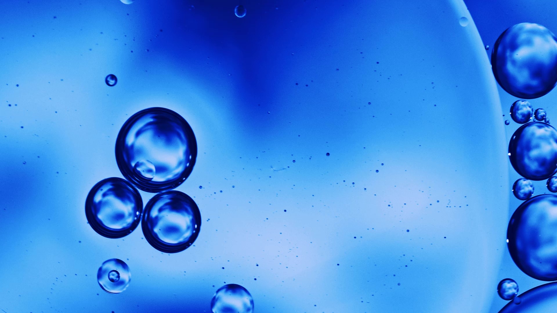 Ricerca e innovazione Bromatech